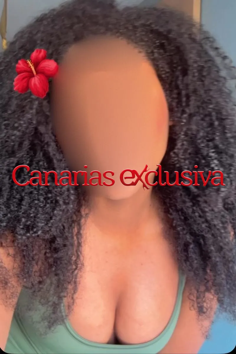 fotos